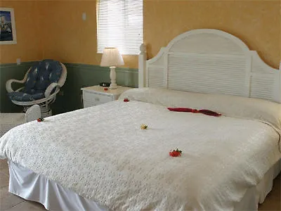 Sanctuary & Retreat Playa Azul